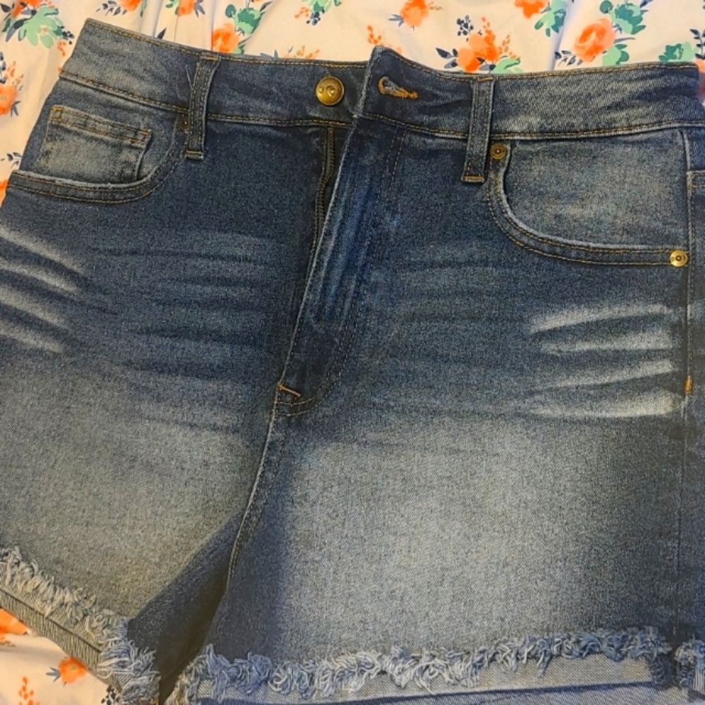 Blue jean Kendall +Kylie Shorts